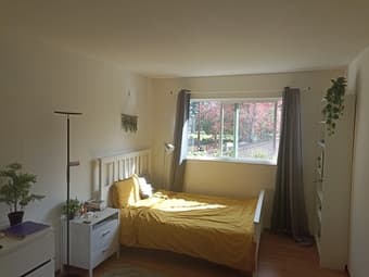 Quiet room in central Palo Alto 1