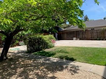 Beautiful furnished apartment 7 minutes from campus 4