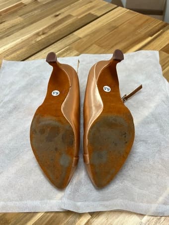 Beautiful Women Ballroom Dance Shoes 2