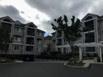 1b1b apartment for rent near Stanford 1