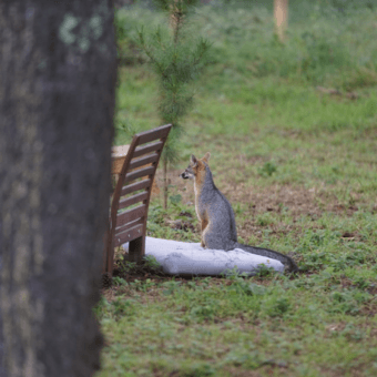 Room in beautiful secluded mountain home 2