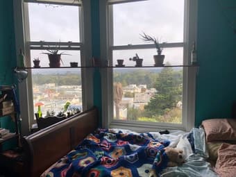 Room Sublet (Jan-March) in a Charming Victorian House in SF 1