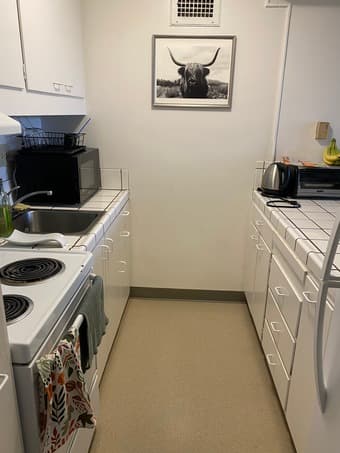 Summer 1 Bedroom Sublet Available 6/12-9/1 1