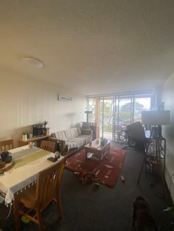 Summer 1 Bedroom Sublet Available 6/12-9/1 2