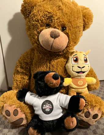 3 plushies for sale (stuffed teddy bears) 1