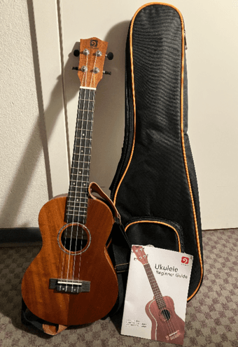 Concert Ukulele (with bag and beginner guide), and Bongo for sale 1