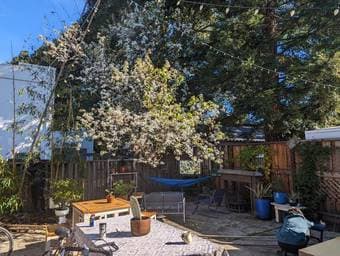 Opening in conveniently-located Palo Alto cooperative house 3