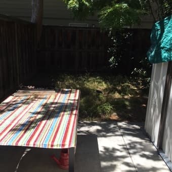 Room in 2-bedroom townhouse in Palo Alto for female - $1300 3