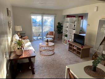 Junior Studio Apartment Available in Sunnyvale, CA 2
