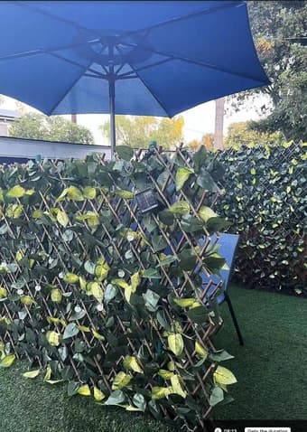 Palo Alto one room of furnished 2b1b, 18 minutes bike from campus 1