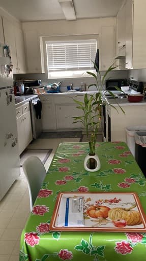 Furnished Room w/ Bath, Garage w/ additional storage in Mountain View 1