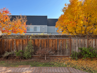 Mountain View 3b2.5b townhouse次卧出租 4