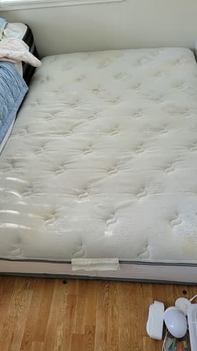 Free full size mattress 2