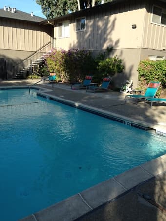 Spacious 1B-1B Apartment with swimming pool access near Stanford 1