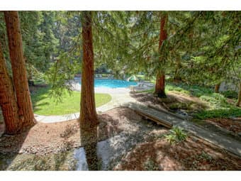 Lovely 2 BR, 1 BA condo in MV near Caltrain, downtown 4