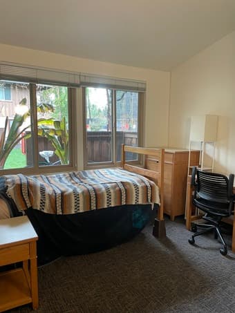 EV Apt room (on campus) with dog 2