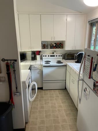 EV Apt room (on campus) with dog 3