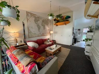 EV Apt room (on campus) with dog 4