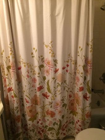 Sublet studio in Hayes Valley, San Francisco for a month (4/24-5/23) 4