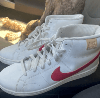 Brand New Nike Shoes (stanford themed) 1