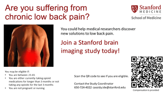 STUDY: Chronic low back pain and brain imaging: opioid and non-opioid 1