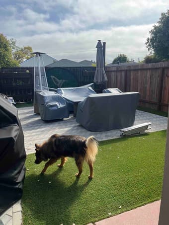 Room in a 2Br/1Ba in San Mateo. AC, yard, dog friendly, utilities inc. 3