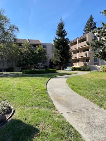 Spacious 1B1B, in unit laundry, next to San Antonio Shopping Center 1