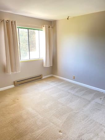 Spacious 1B1B, in unit laundry, next to San Antonio Shopping Center 2