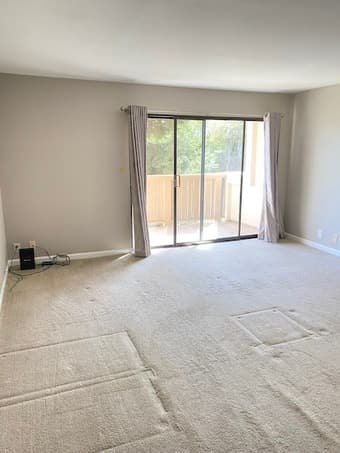 Spacious 1B1B, in unit laundry, next to San Antonio Shopping Center 3