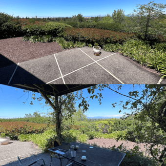 2BR/1BA, beautiful outdoor space, $1100/mo (July 1 - Sep 15, 2023) 1