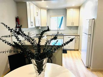 Modern Beautiful 1 bedroom condo in Mountain View - short term okay 1