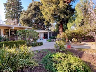 Palo Alto house for Summer, 5-6 bedrooms, backyard 3