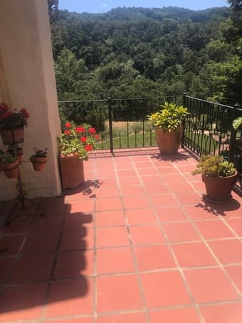 Room in a Stylish House, Los Altos Hills 2