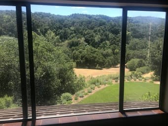 Room in a Stylish House, Los Altos Hills 3