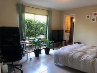 $6,000 / 4br - Unusually Nice and Unusually Large Downtown Apartment 3