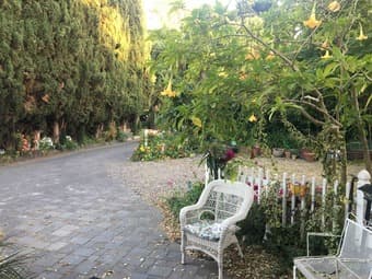 [Sublet from July to August] Amazing one-bedroom available in a house 1