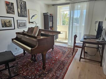 Private bed+bath available in sunny downtown unit 1