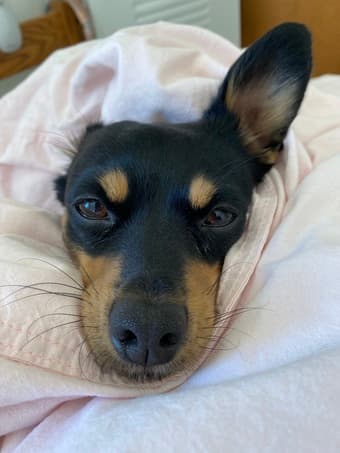 Looking for subleasing from 08/20 to 09/20 1