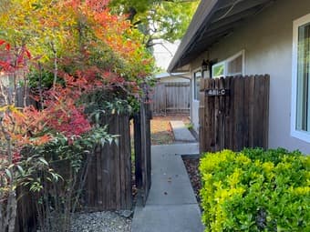 Room for Rent part-time, including bills 1