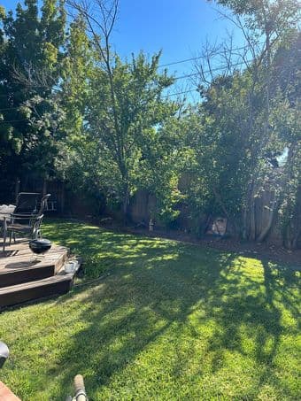 Studio in Menlo Park, The Willows 1