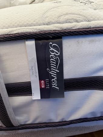 FREE DOUBLE MATTRESS, BOX SPRING AND FRAME - BEAUTYREST 2
