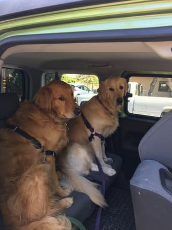 Private Room & Bath in Palo Alto 4