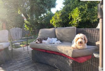 Room for rent in Mountain View 4