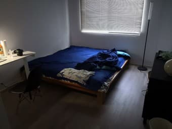 Room available in a Palo Alto 3B/3B apartment 1