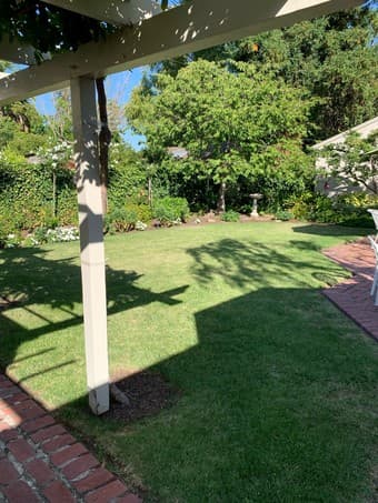 Gorgeous Cottage in Mid-Town Palo Alto 2