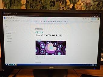 144hz Acer Monitor 2