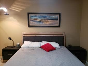 Furnished 2 Bedroom 2 Bath Vacant, Spiffy Professsional Luxury 2