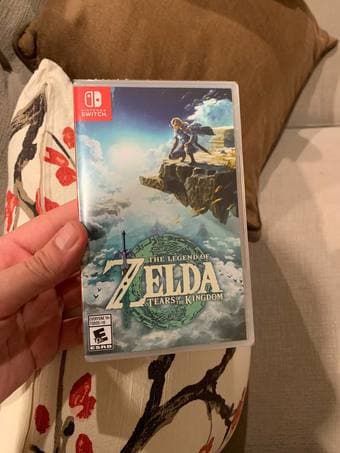 The Legend of Zelda: Tears of the Kingdom 1