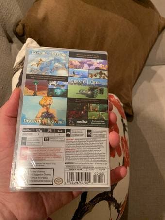 The Legend of Zelda: Tears of the Kingdom 2