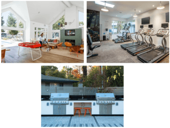 2 Bed 1 Bath Apartment for rent in Mountain View, CA-94043 3